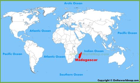 From 1999 to 2010, scientists discovered 615 new species in Madagascar, including 41 mammals and 61 reptiles. Madagascar has several critically threatened species including the Silky Sifaka, a lemur, which is one of the rarest mammals on earth. Its name—“angel of the forest"—refers to its white fur. Another threatened species, the rare ...